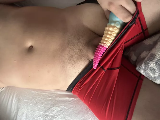 Guess where my new toy will be in a few min  by RateAny1776