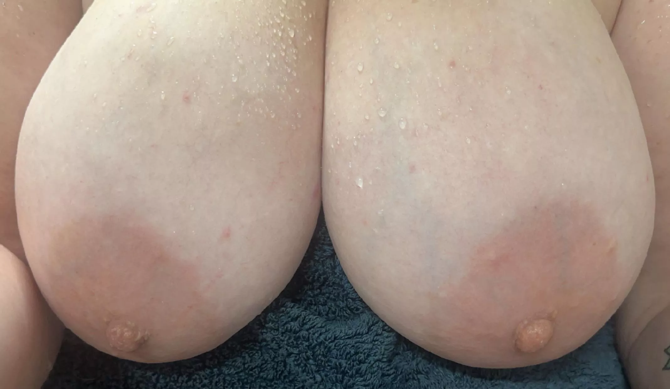 Hot or cold shower with me?  posted by sloppyspitbitch