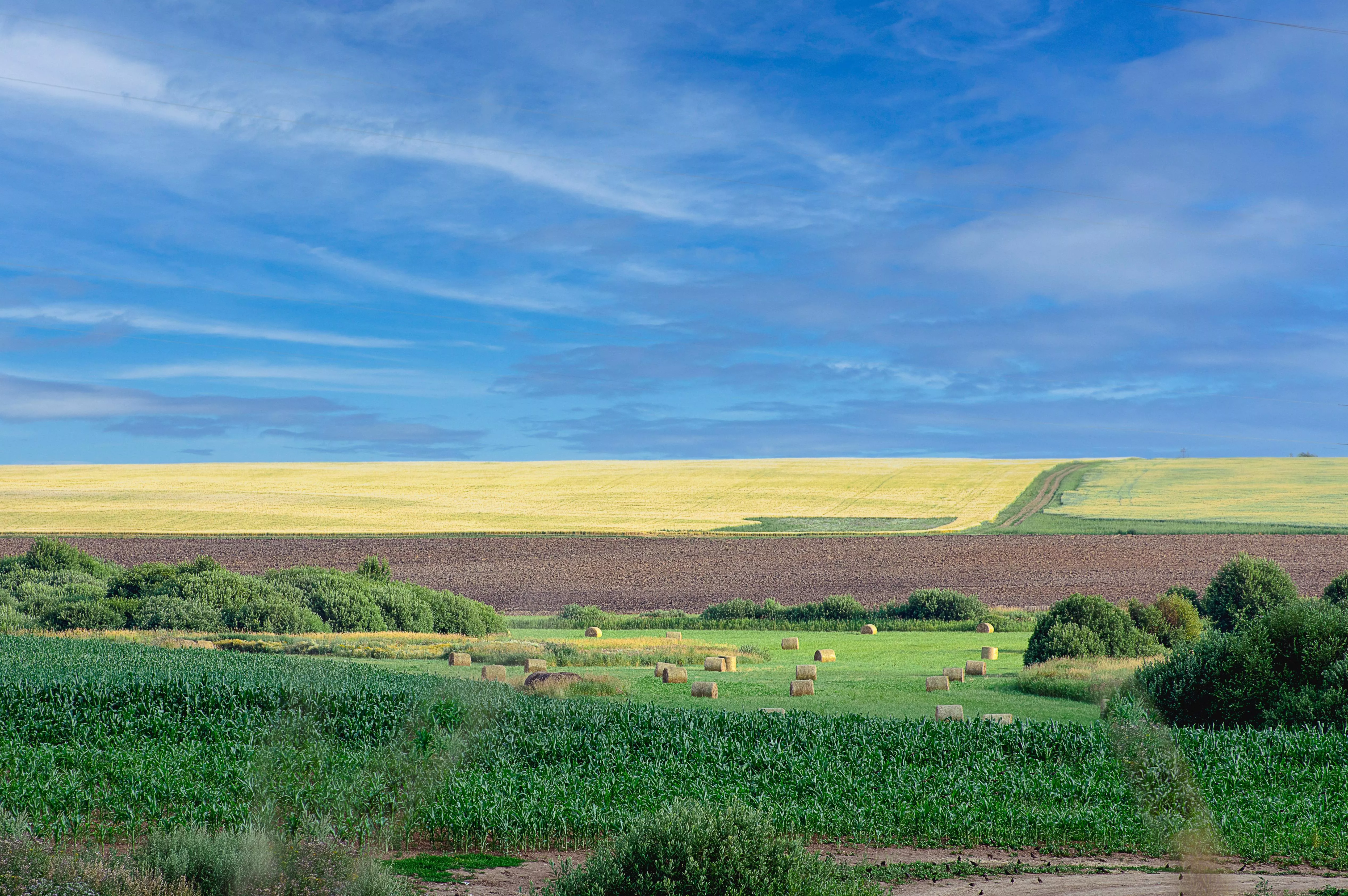 ITAP Field in Russia posted by Homo1udens