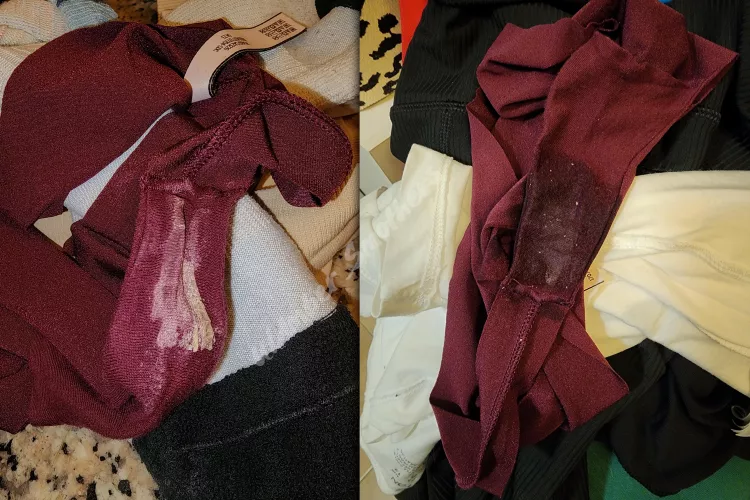 Left my Human Chair his lunch and they were clean when I returned home. Could have been your Lunch by Amber_Smothers