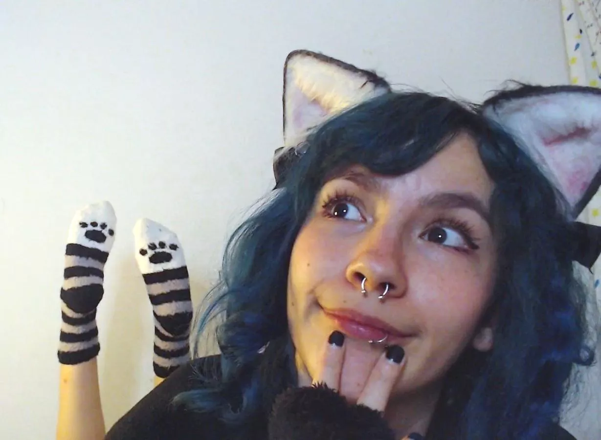 My cute paws socks posted by sofia-imoon