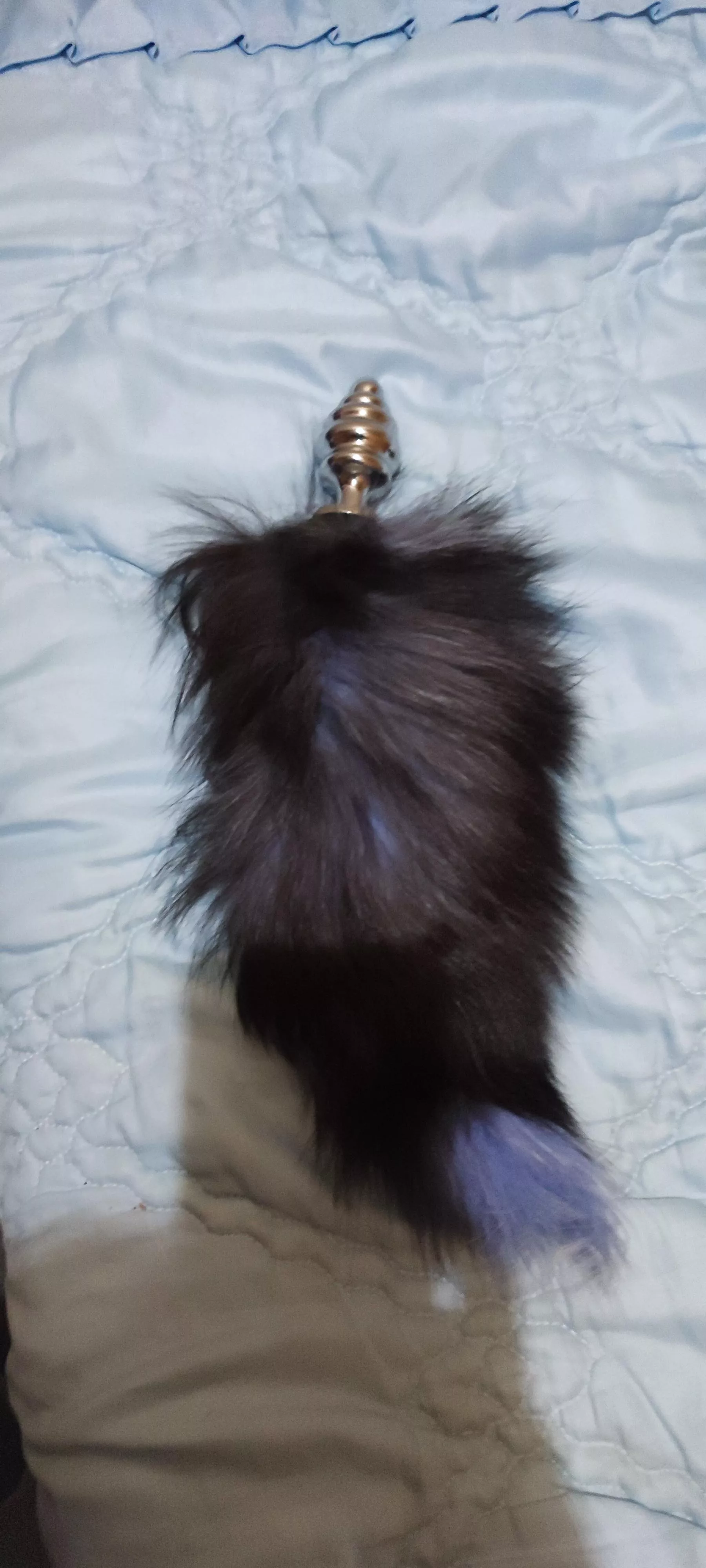 My Fox tail posted by PlanktonInfinite