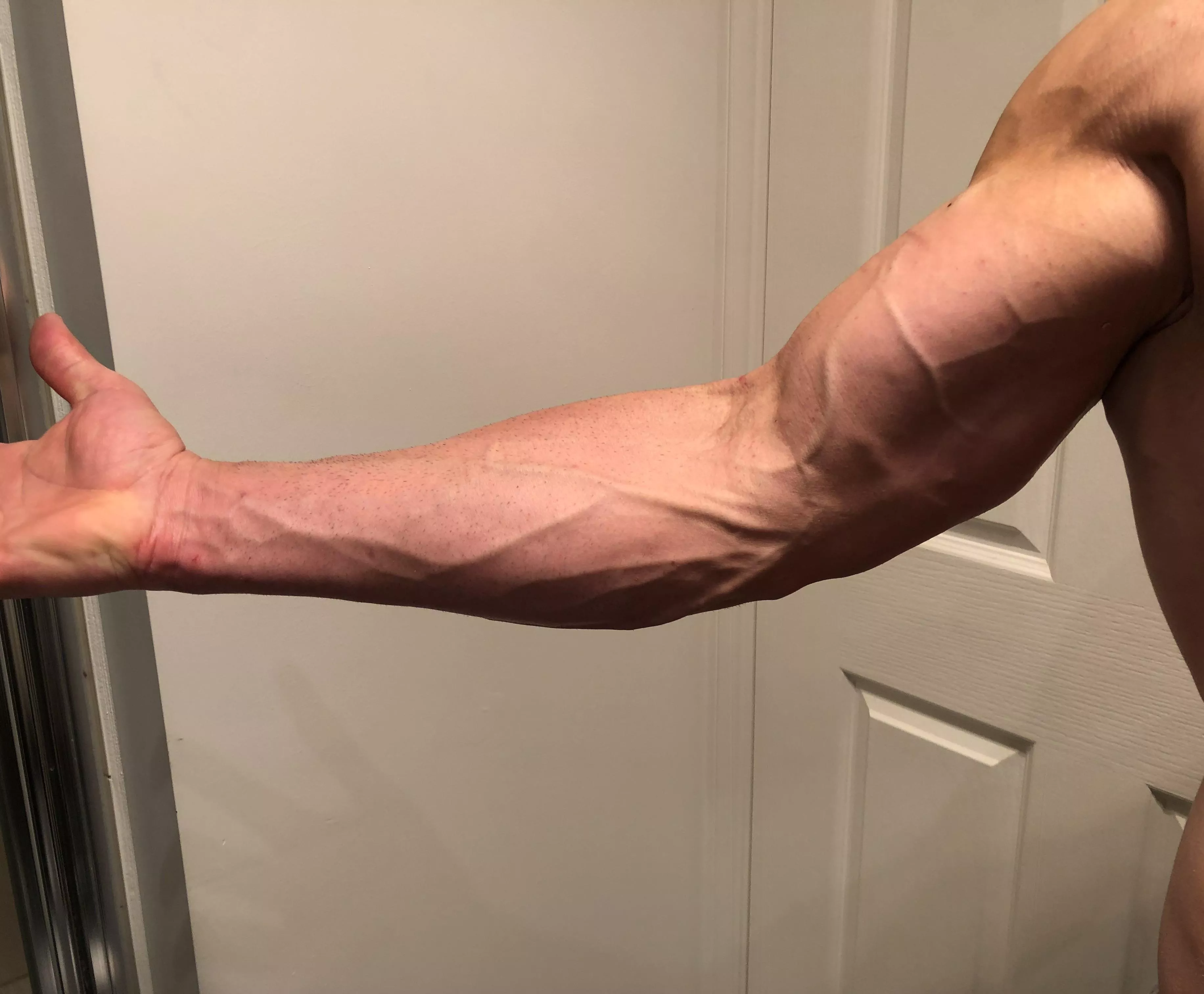 Nothing better than that pump you get on arm day😎 posted by Competitive_Note_427