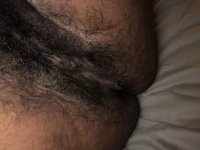 Pet my [h]airy ass? by Shadowgirl12345678