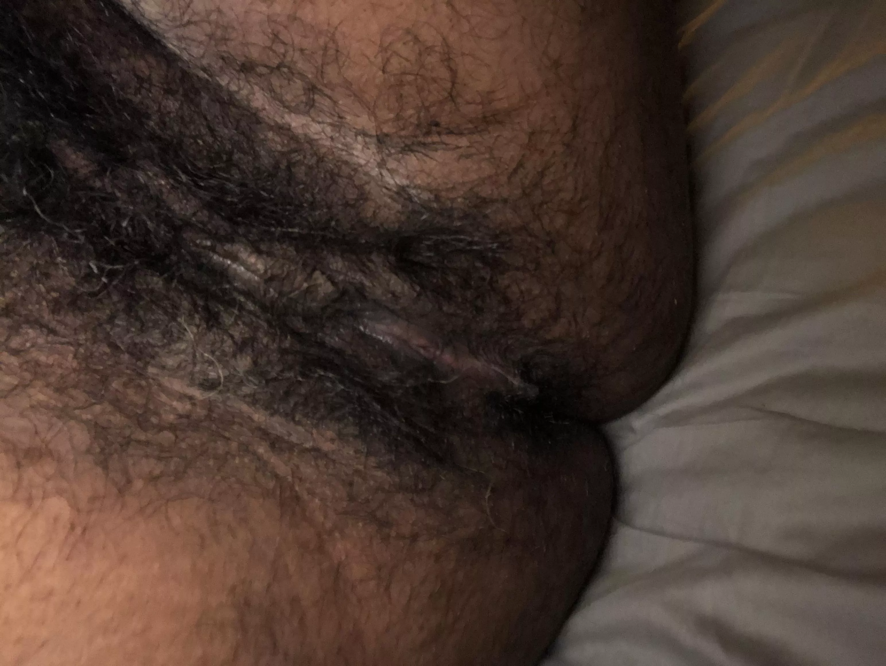 Pet my [h]airy ass? posted by Shadowgirl12345678