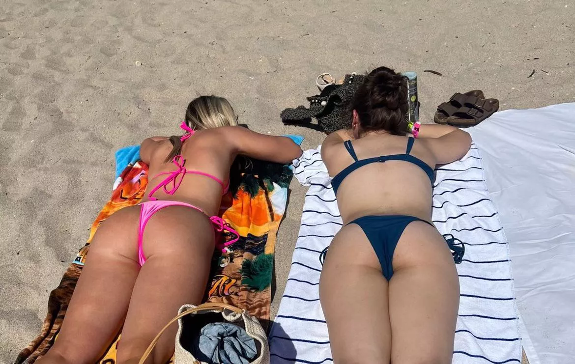 Pick one [2] posted by ResponsibleTrainer11