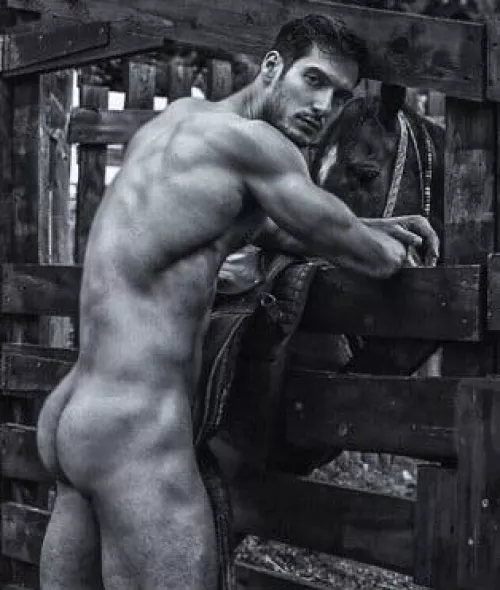 Ranch butt by PeteGuy23