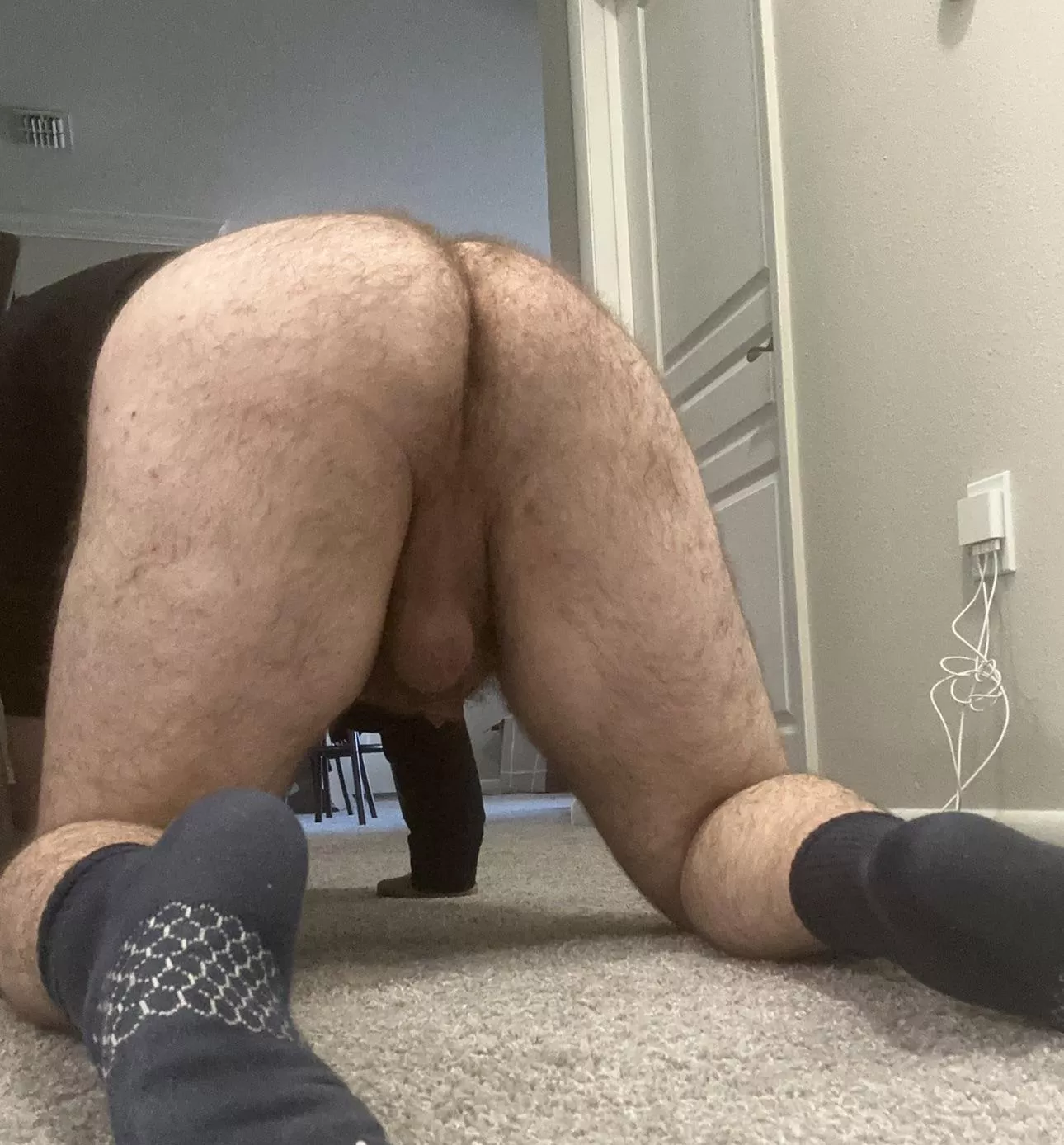 Ready for a Saturday night breeding posted by hollyveryjolly