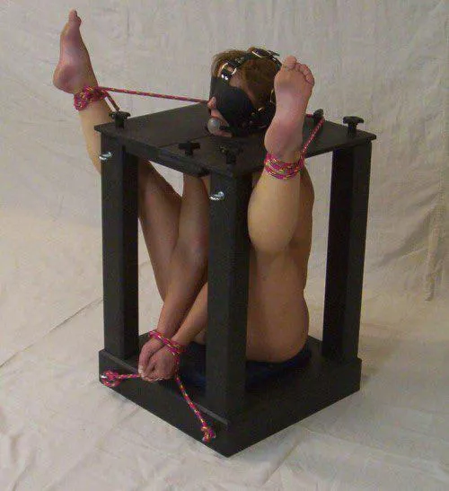 ready to be whipped by No_Accident_3731