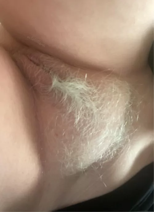 So frosty! by _Nectar000hbesh