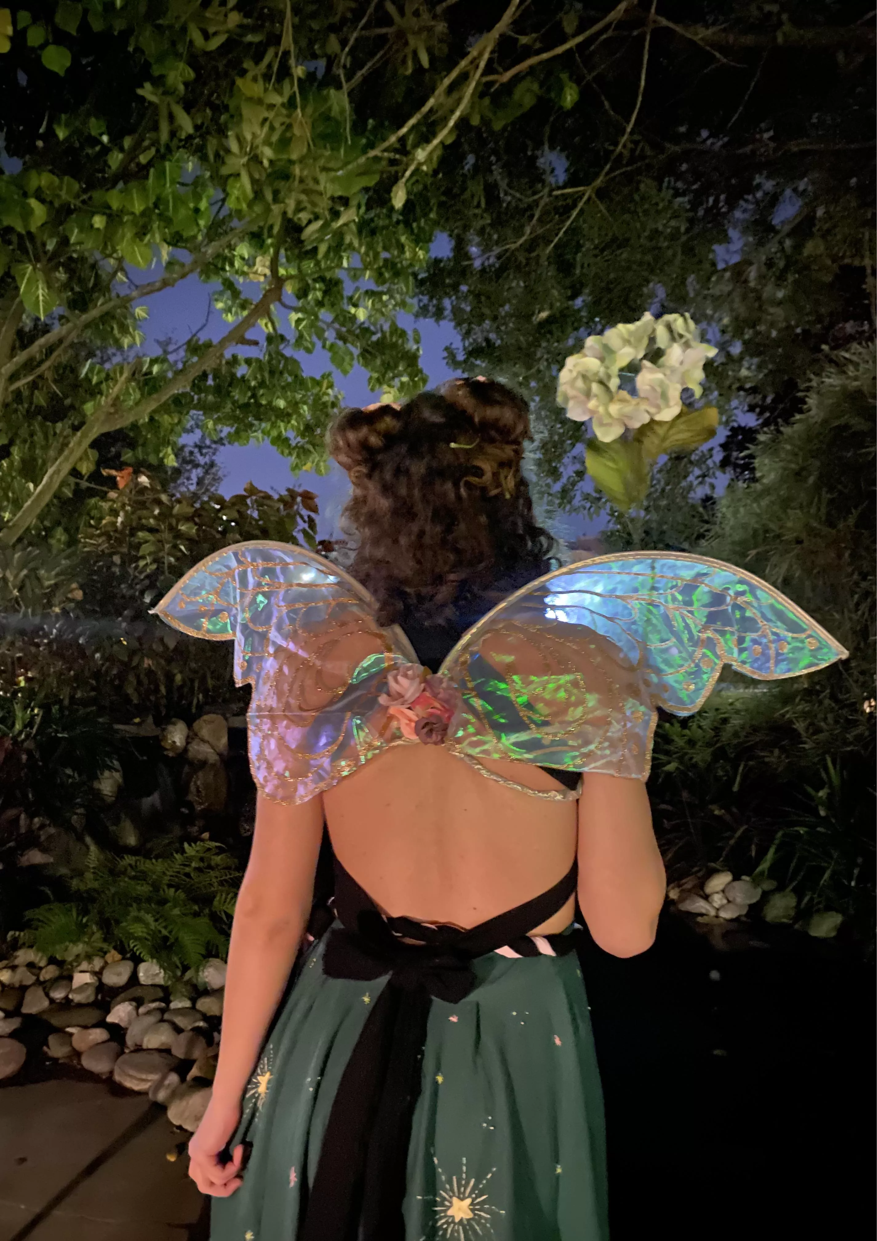 that one time i got to be a fairy princess for halloween 🧚‍♀️ posted by jake-mcn
