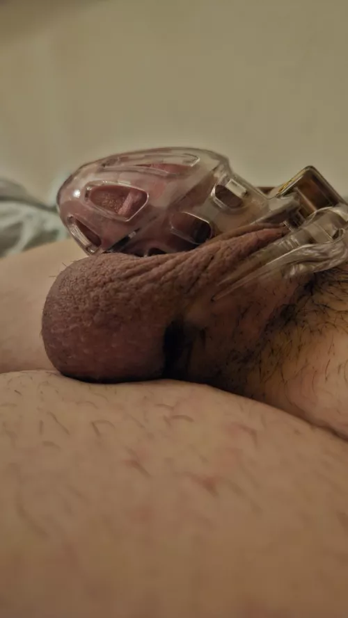 Today is my birthday but im locked! by Quick_Return4082