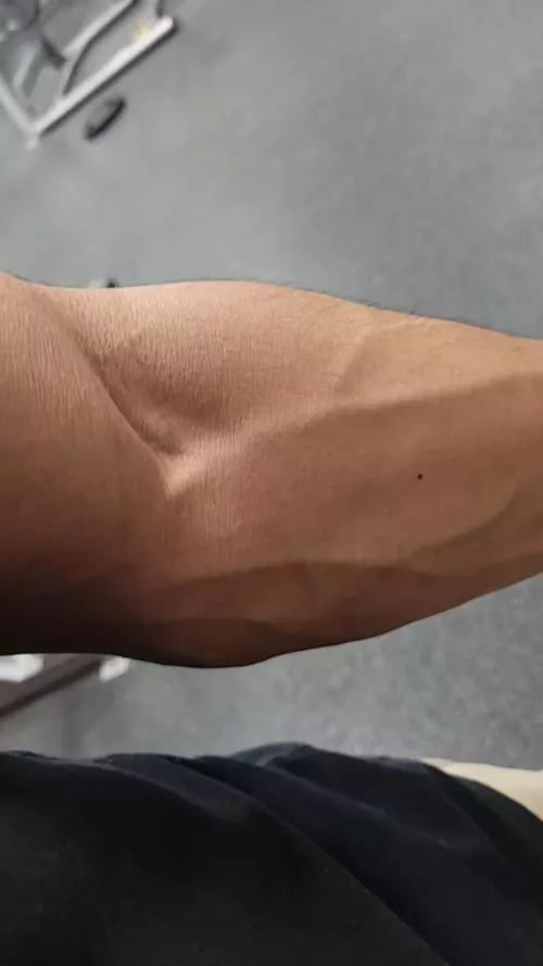 Wanna touch? by Alpha179