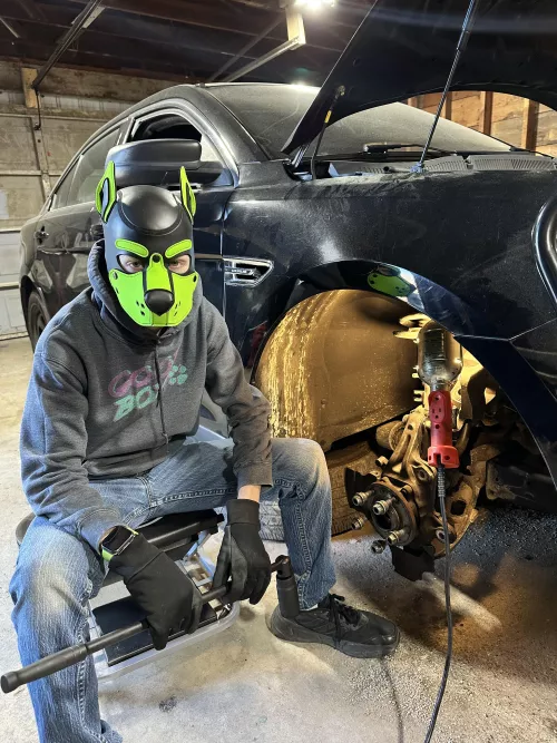 Who are you going to when that light comes on? 🔧 by Pup-Atlas