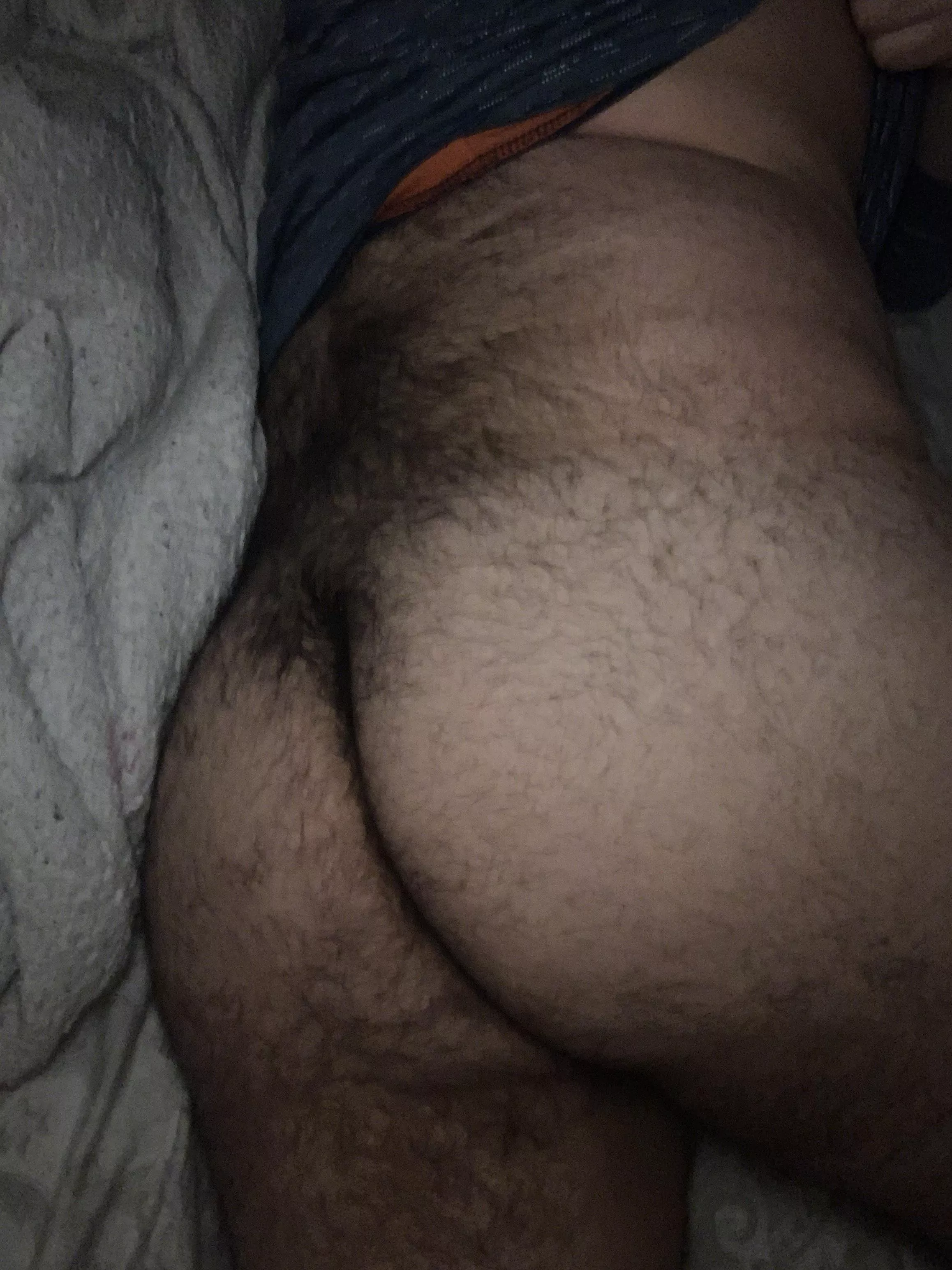 Would you fuck my hairy ass? posted by akyra739