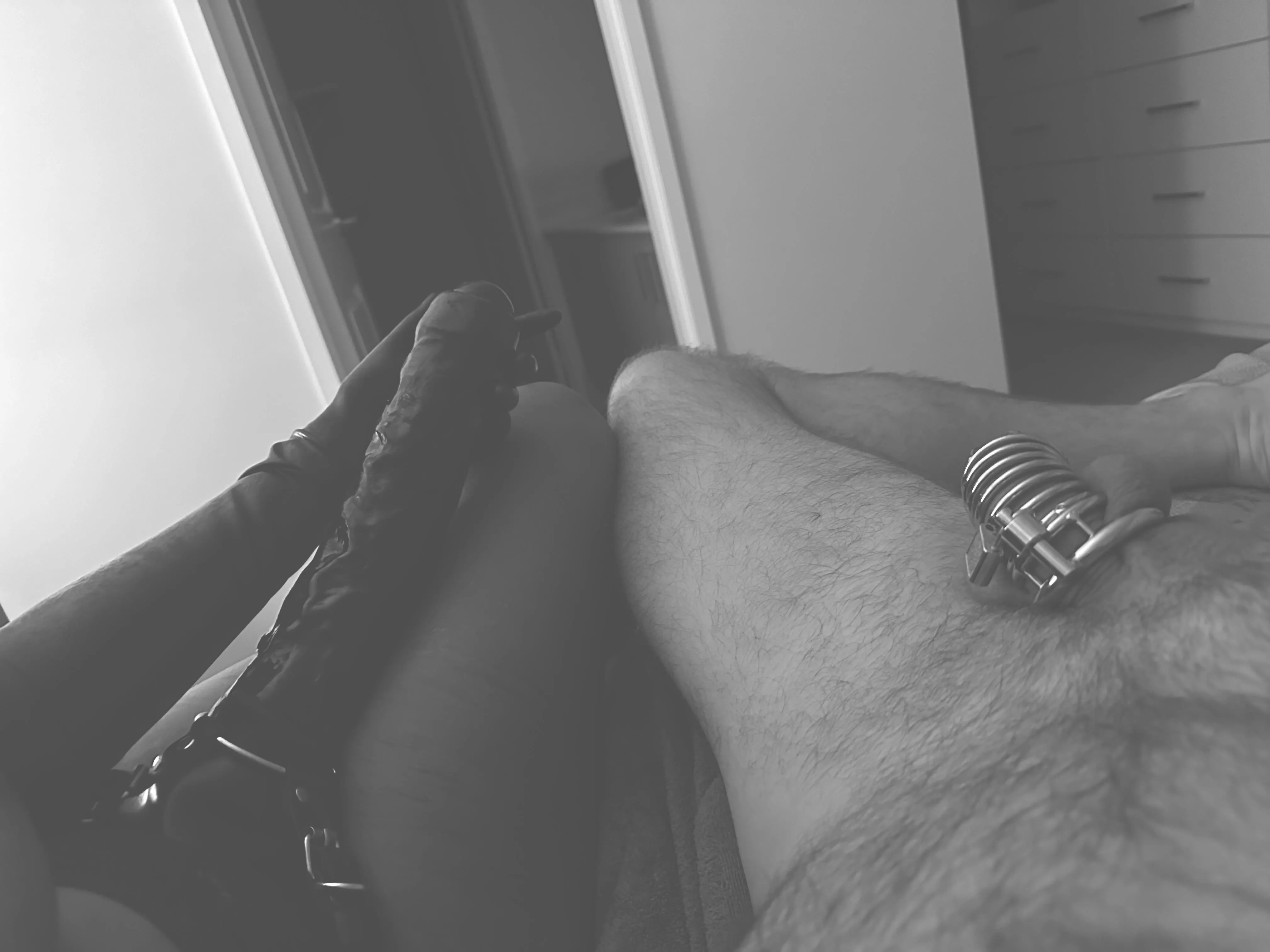 All caged up posted by Howaboutit45