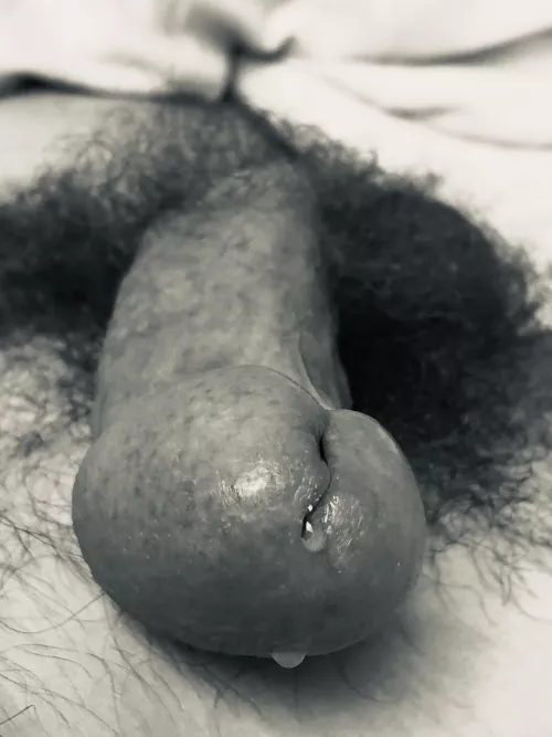 Anticipation by Thoughtful-thoughts