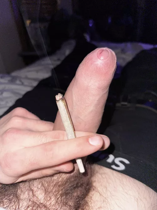 Big Dicks🤝Big Spliffs (M) by Longjumping-Fig8115