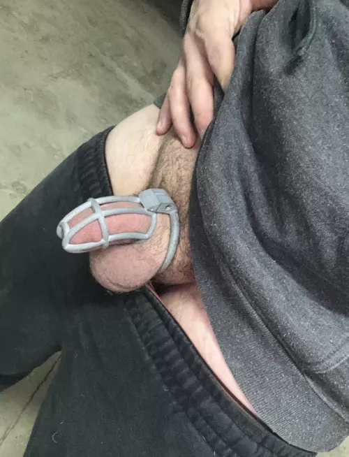 Can i please be released? I have been a good boy!😜 by Chemical-Rush-6006