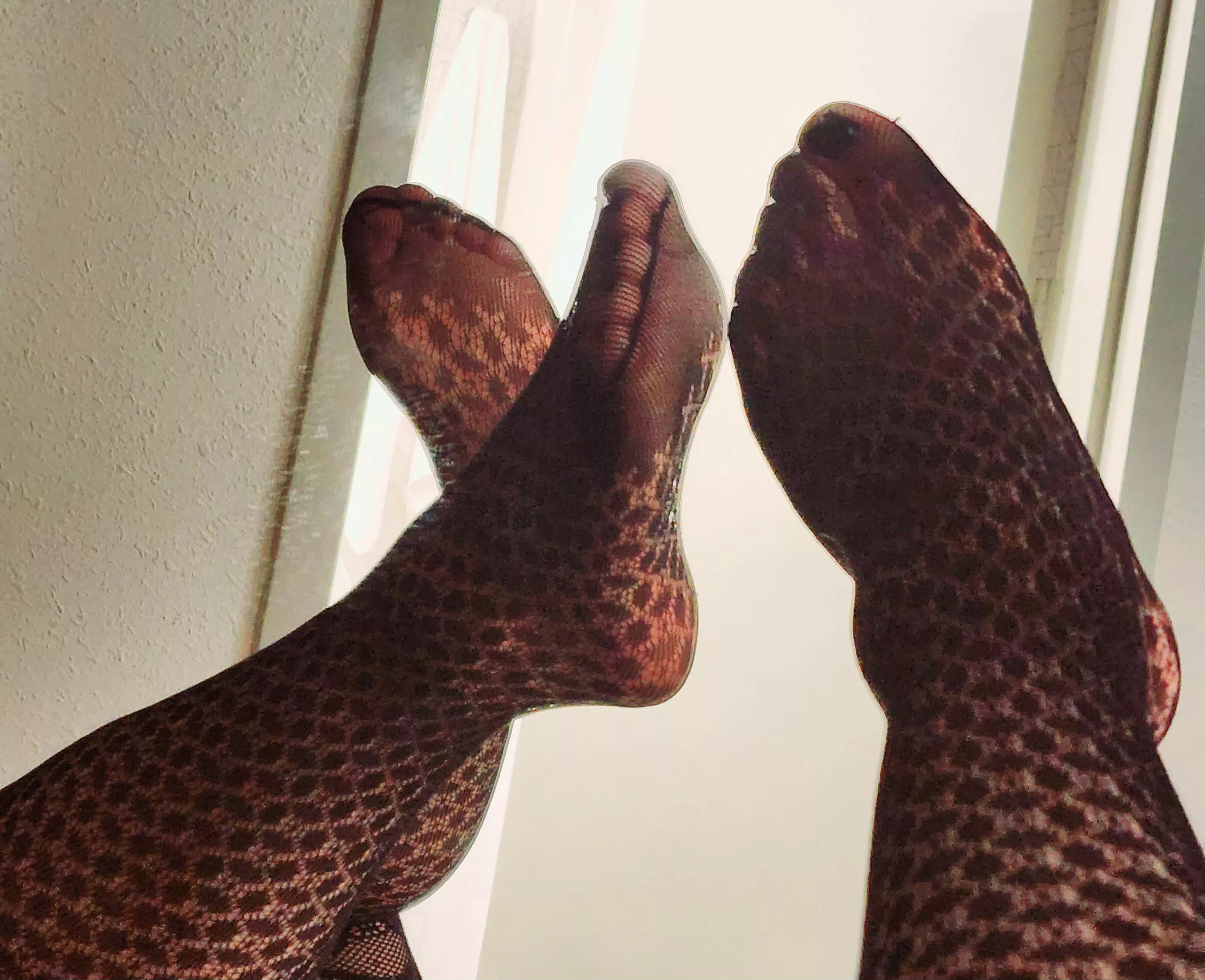 Count the spots 😏 OC posted by tinychubbytoes86