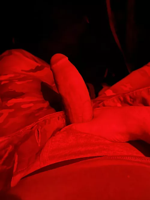 Don’t matter if I’m out in the field, this guy still loves some attention by Bugbulge01