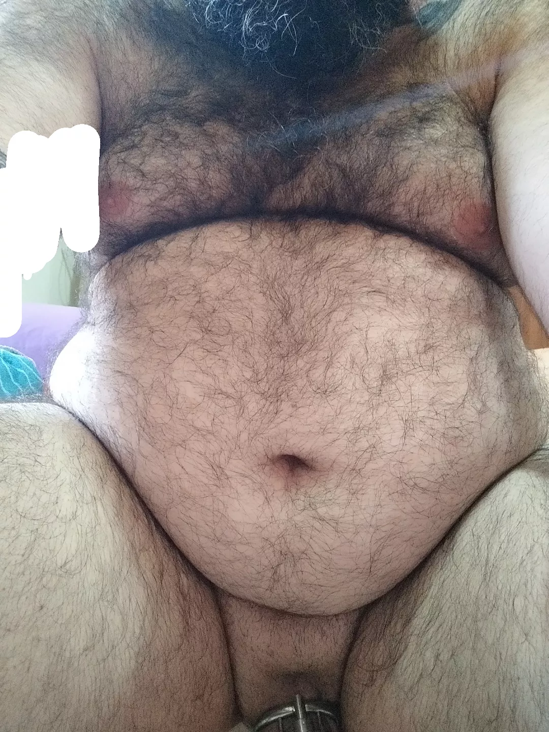 Honest opinions?  posted by thebeard-bear