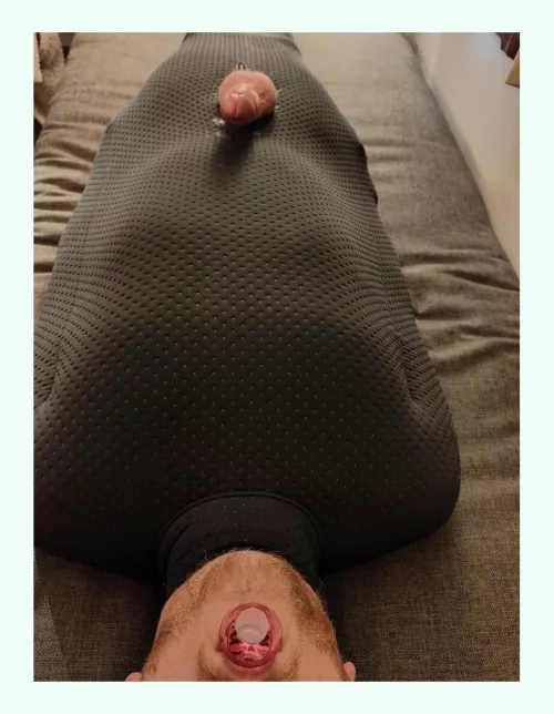 Hound by Popular-Hospital-261