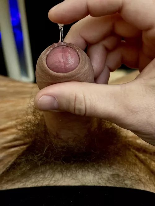 I love precum and foreskins. What about you? by BiNowPlayLat3r