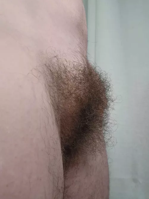 Is there such a thing as too much bush?  by nerdylittleplaything