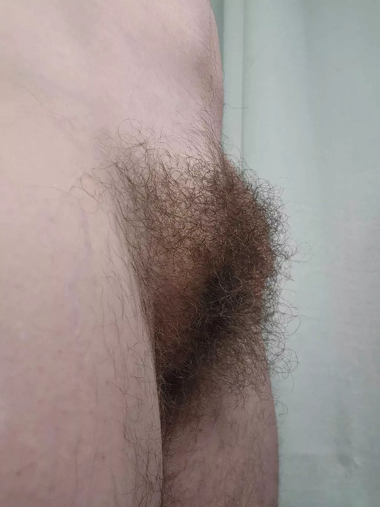 Is there such a thing as too much bush?  posted by nerdylittleplaything