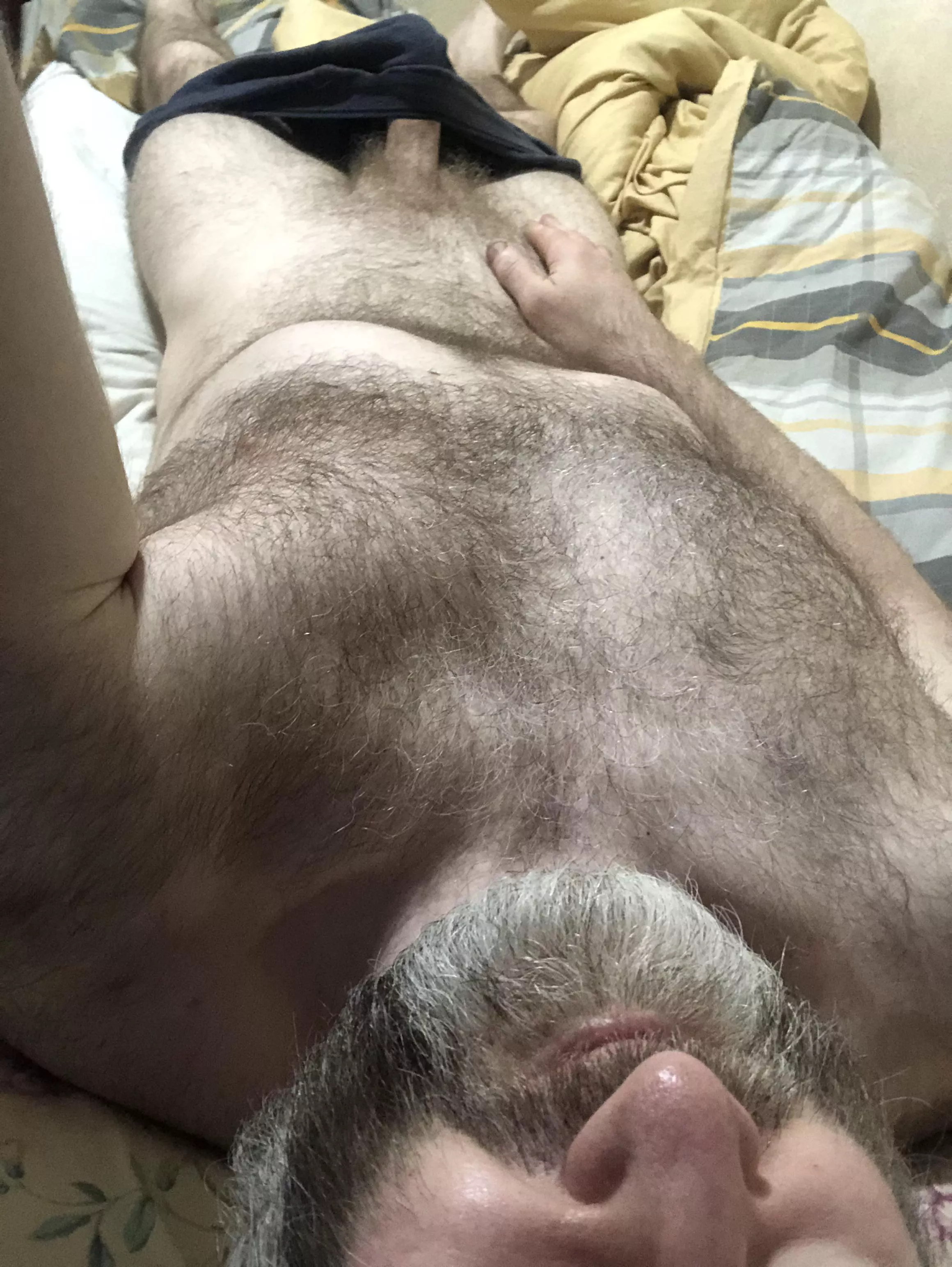 Just an older English silver fox to ride.  posted by Mrsparkles7100