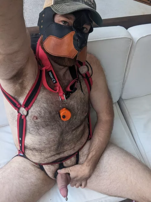 Patio Vibing by Timbehr