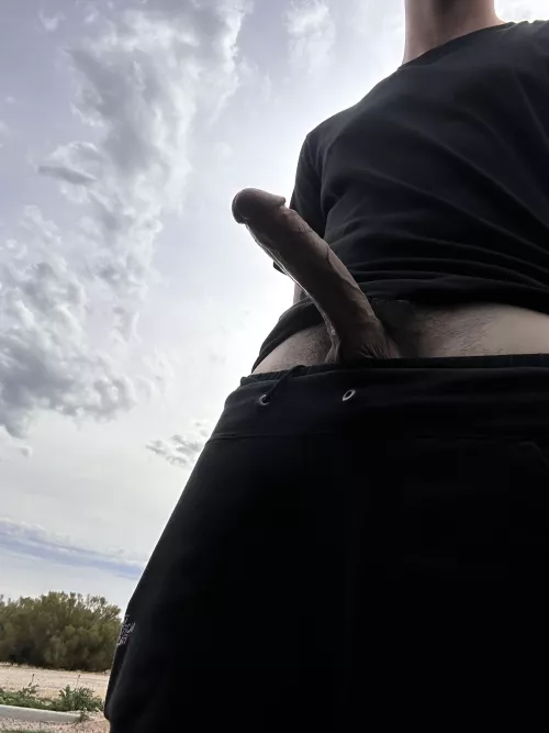 Roadside boner by idk-idk123