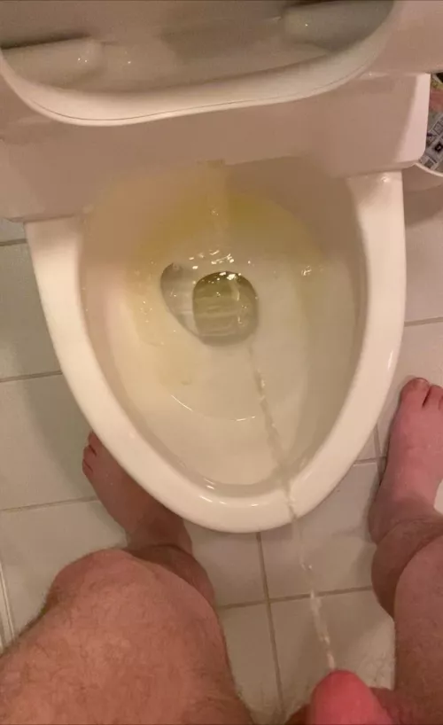 Tokyo toilet piss by Jet717