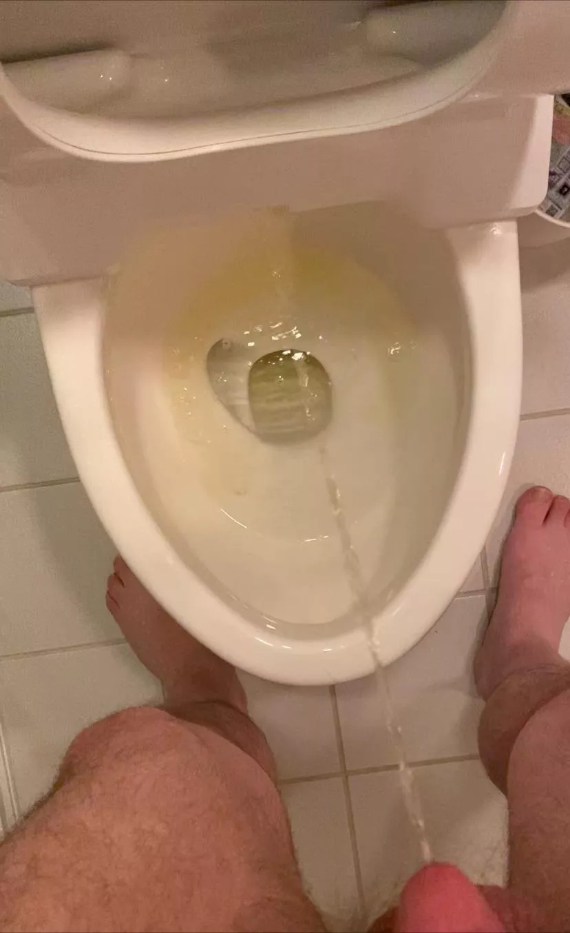 Tokyo toilet piss posted by Jet717