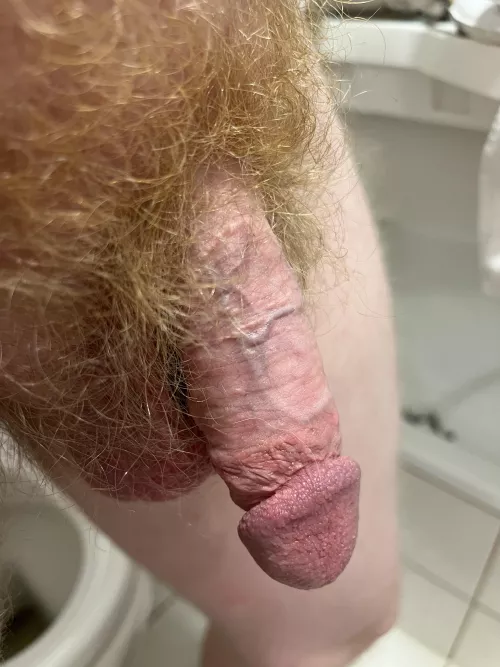 37 years old cut ginger by Sweetfeet1988