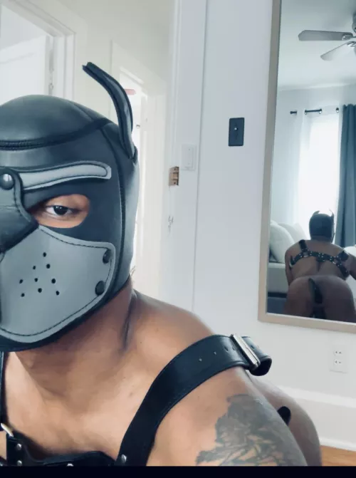 Arwoooo!!! by akio22