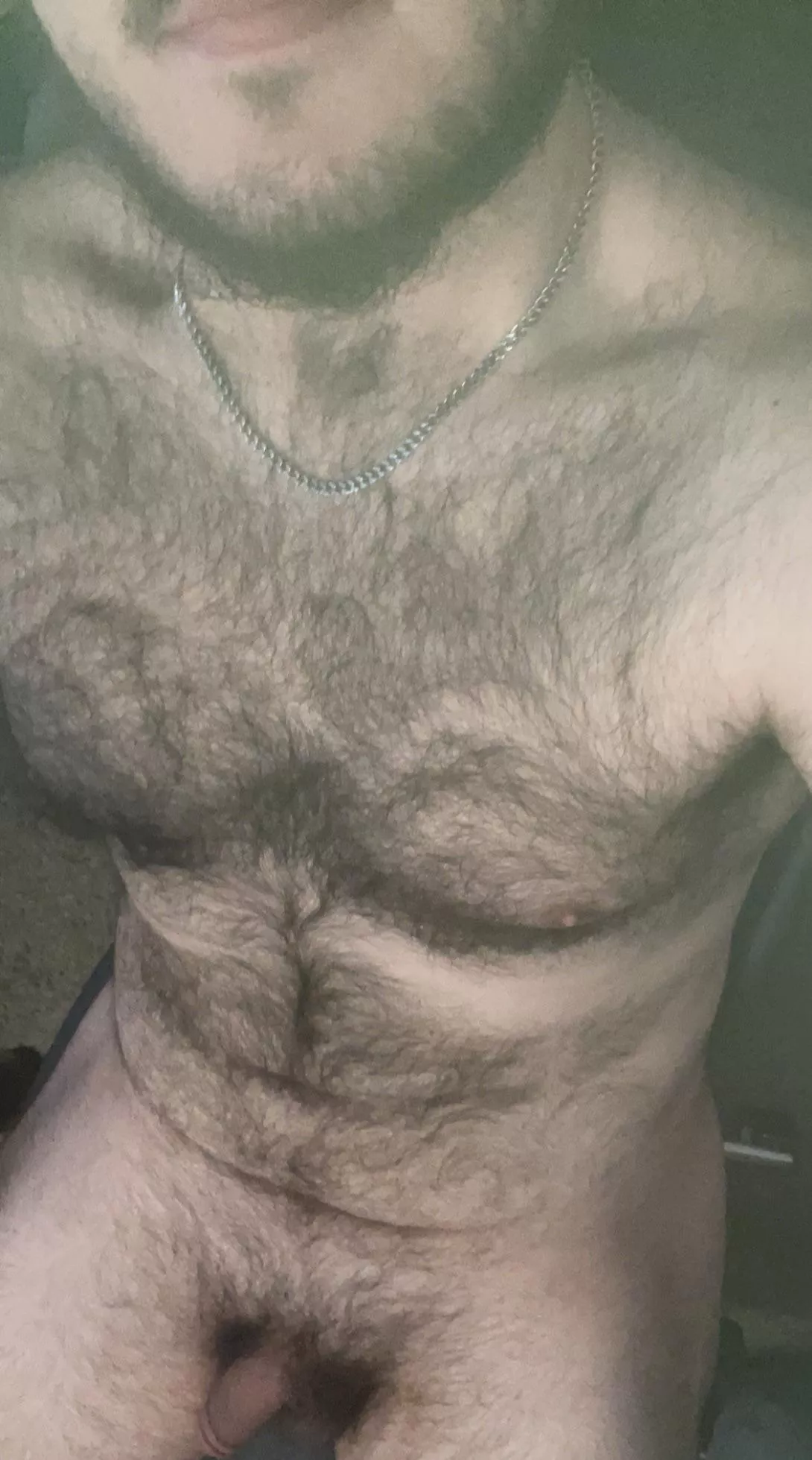 Bear enough?  posted by SnooRadishes5134