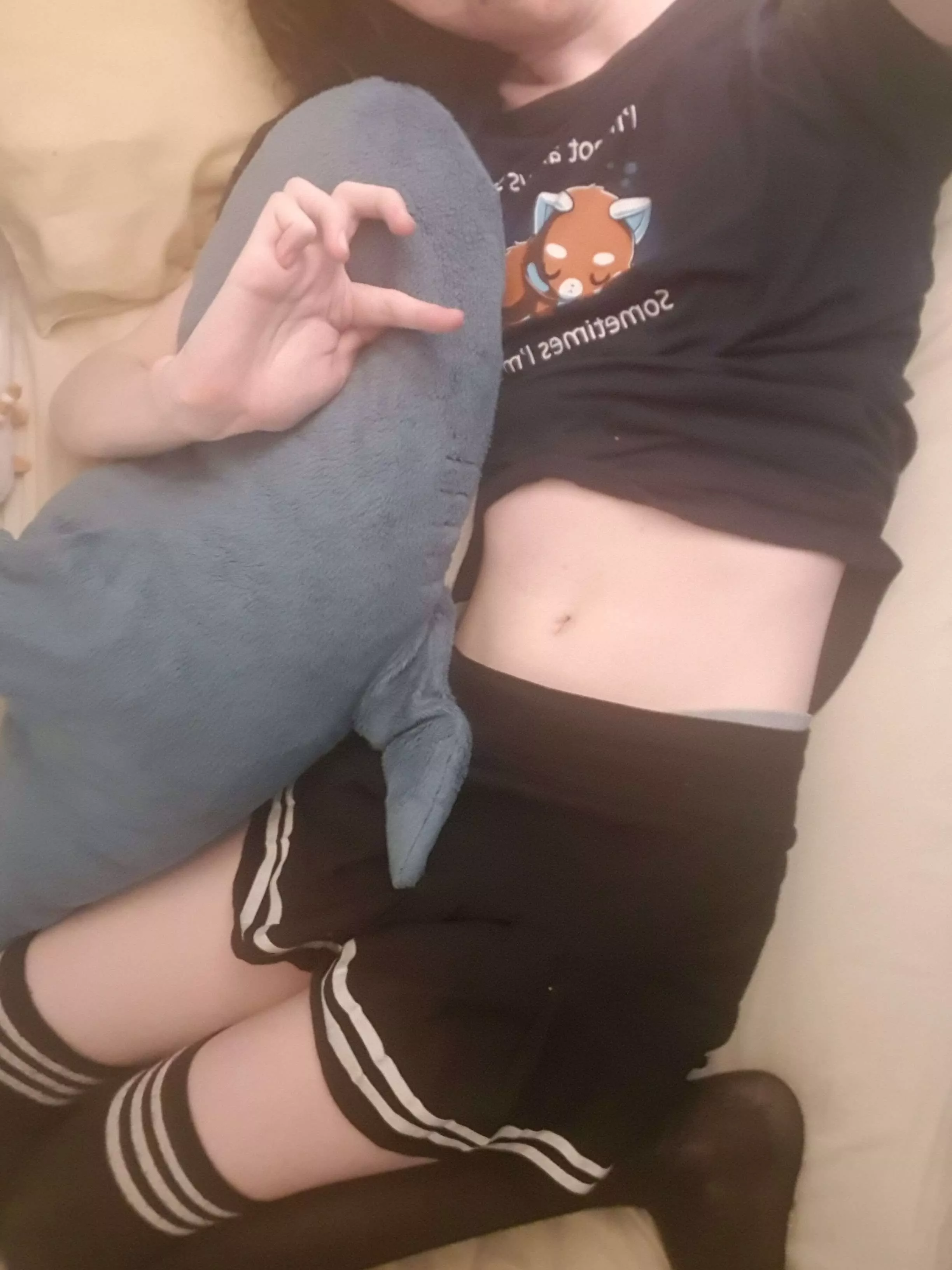 Bed Comfy =w= posted by GoneAway5