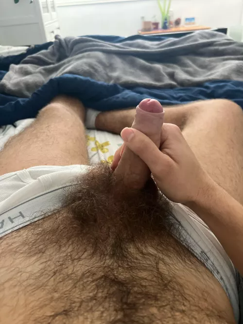 big and bushy by Ok-County388