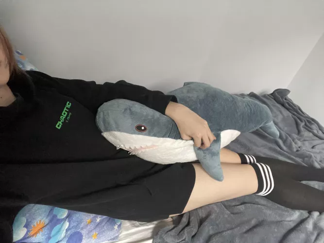 Blahaj helping me with bad mood by Femsobi