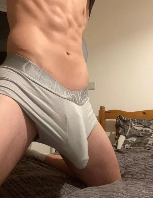 Bull looking to help by asb1uk