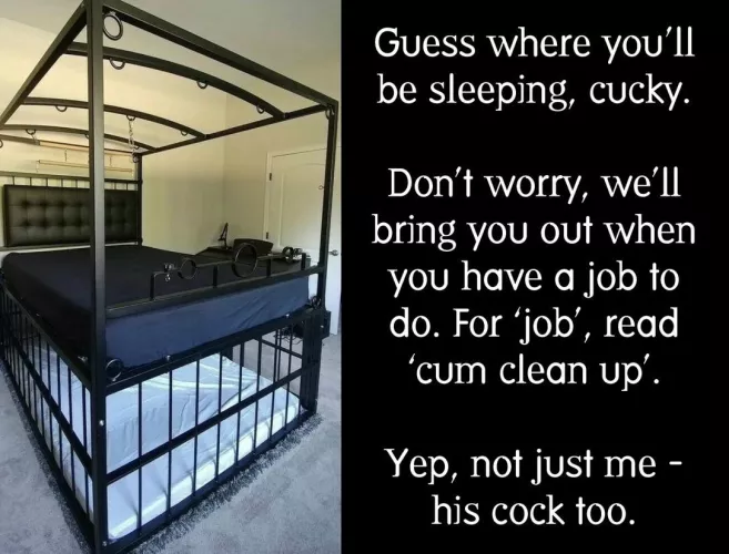 Cum clean-up on demand…  by biffa_b_