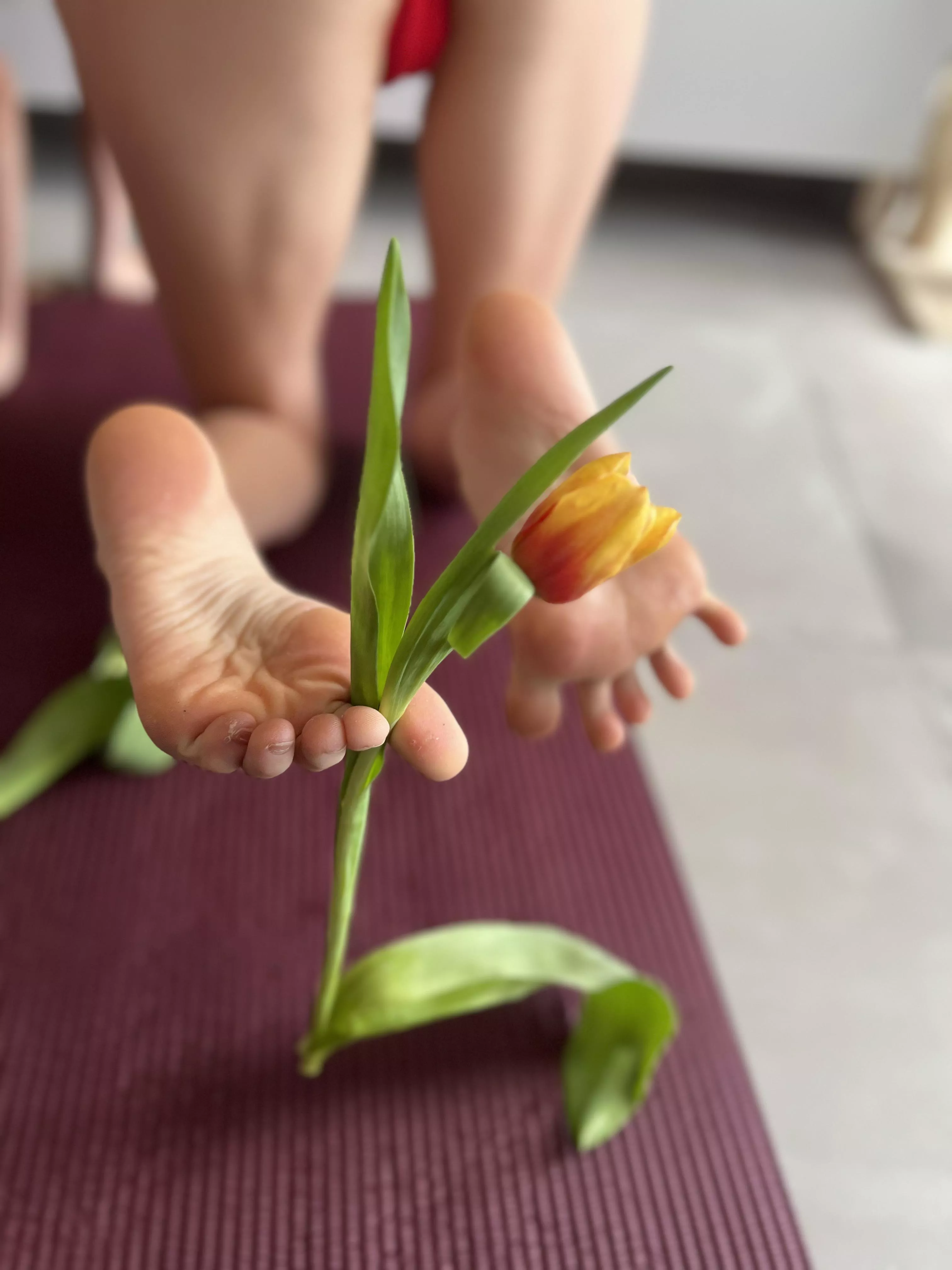 do u smell and kiss my flowers  posted by _ivannabelle