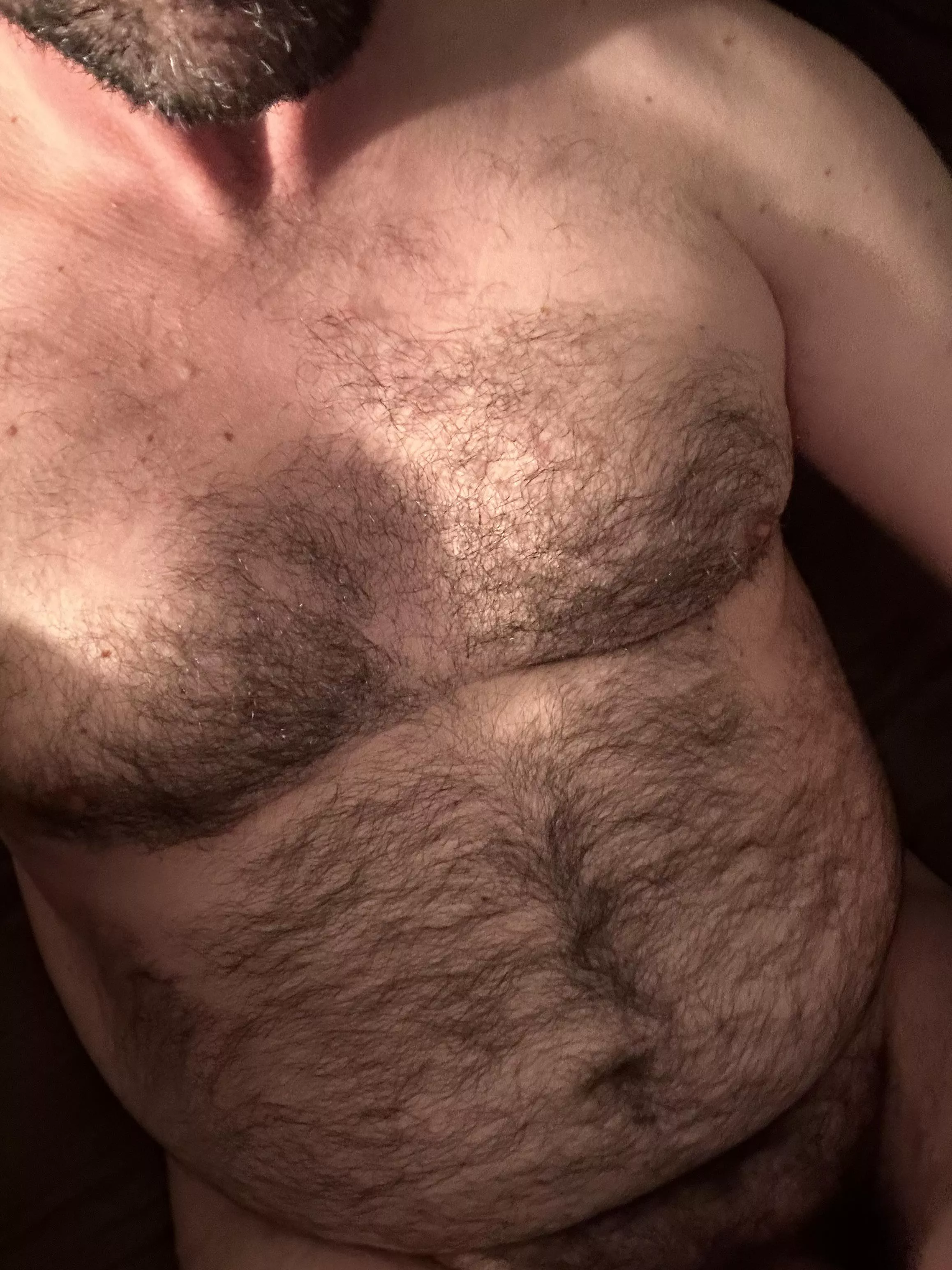 Do you guys like this view? posted by mtnfur39