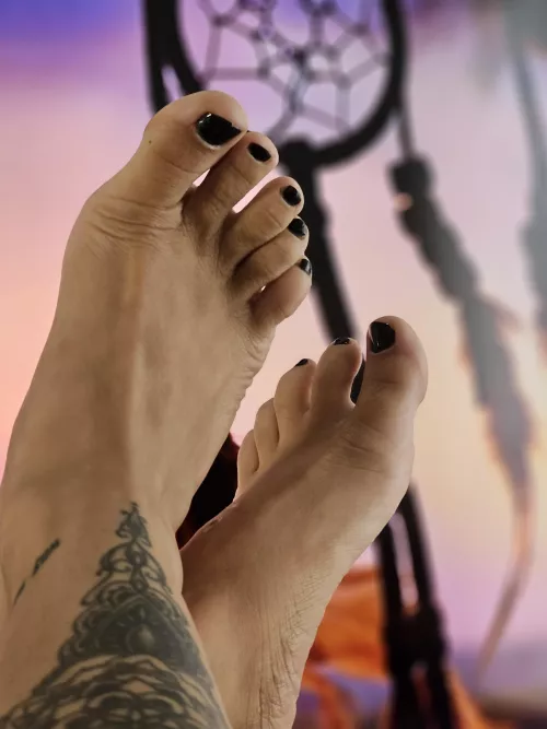 Do you want to worship, smell and kiss them? by goddessrica