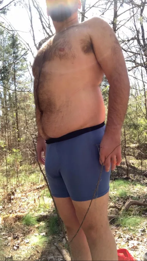 Gotta love the sunlight by Bibearman