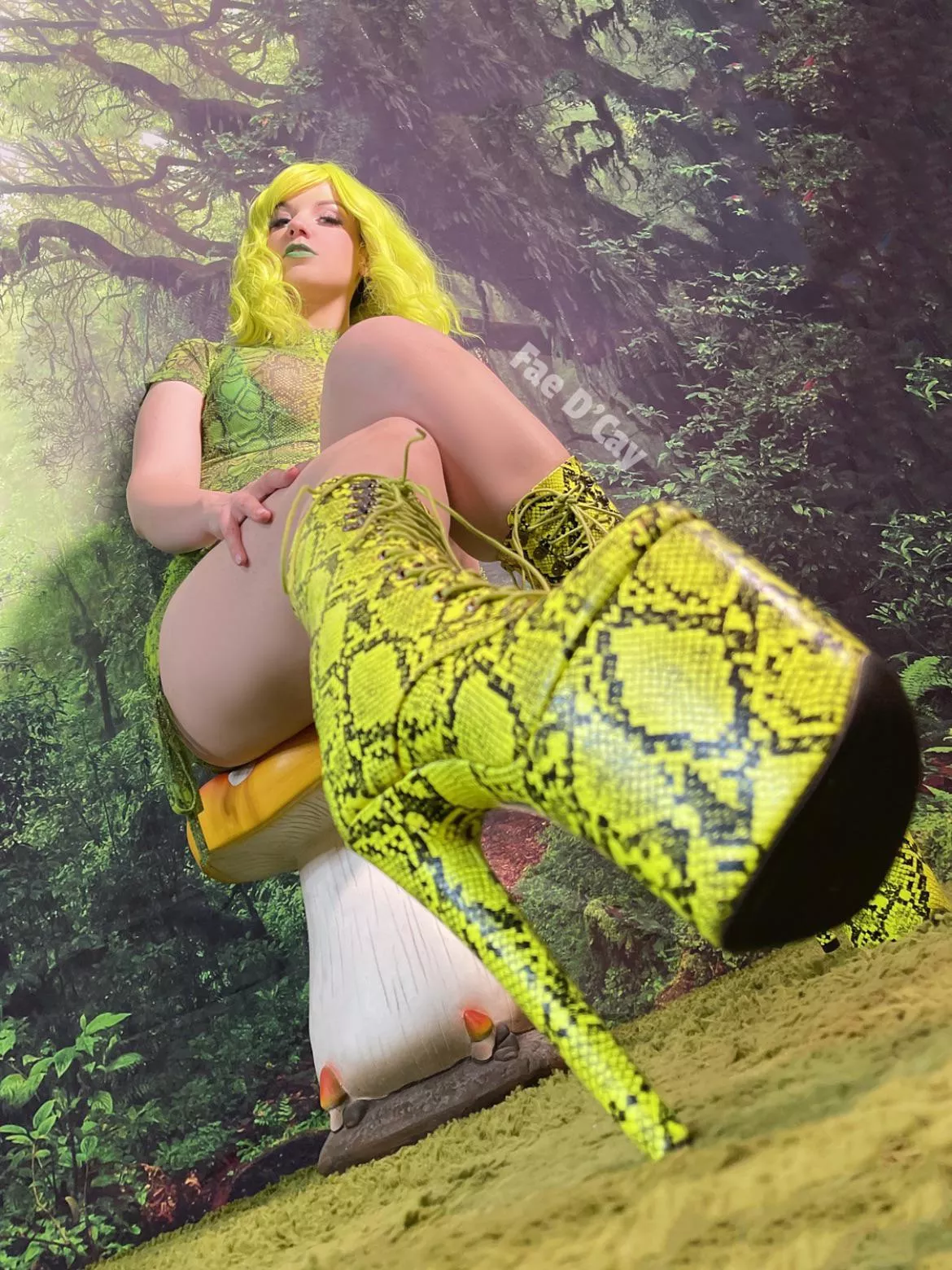 Green snake  posted by FaeDCay