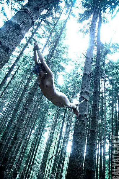 hammock posted by Mundane-Employer-719