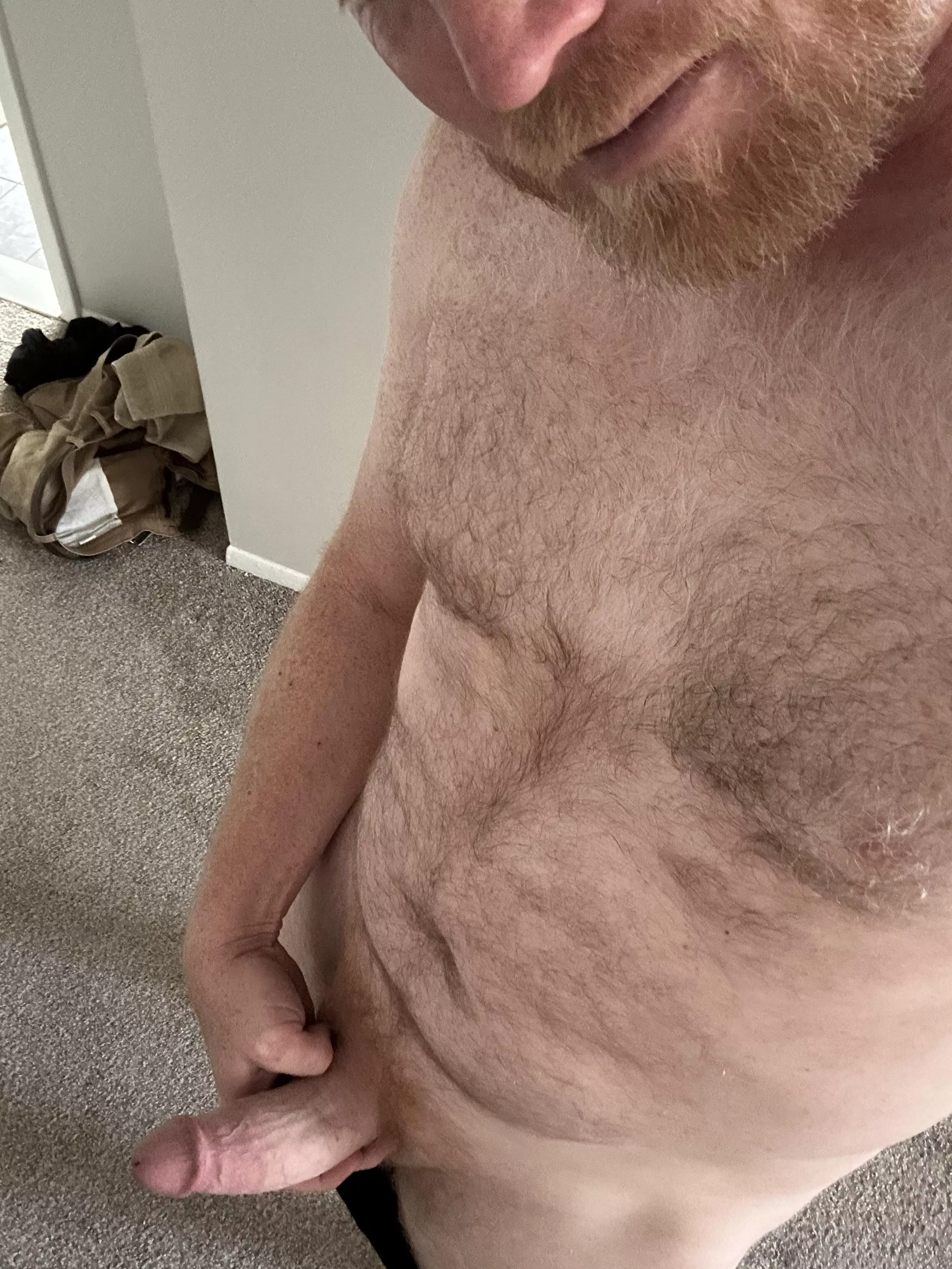 Happy Monday!! Now let’s have some fun!! posted by bearfedging